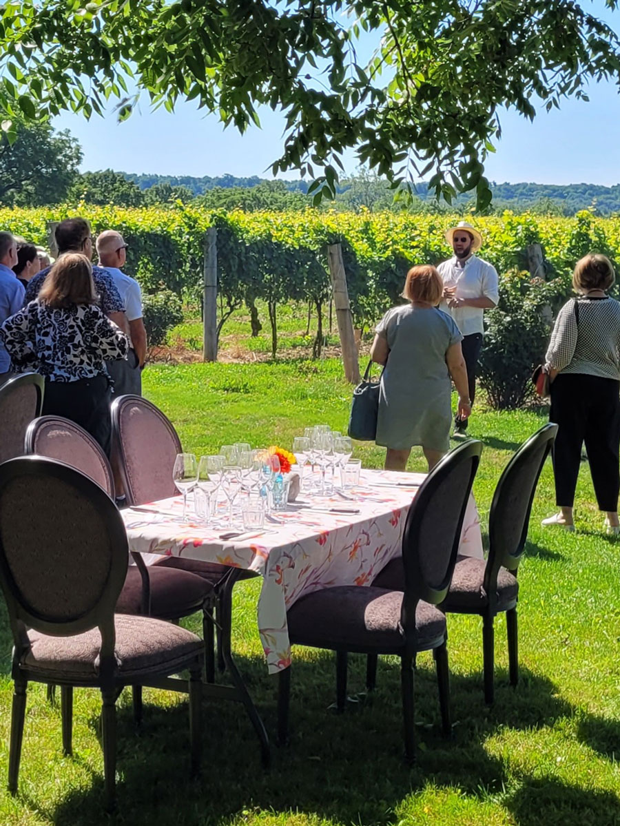 Vineyard Brunch